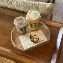 지니비치향 | 발리 가볼 만한 곳 BEST 3 핀스비치클럽 스미냑스타벅스 러브앵커마켓 리얼후기