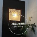 서문24시마트 | 제주올레여행자센터 근처 서귀동 마사지샵 패밀리아로마 후기