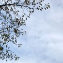 한마음도서관앞 이미지