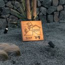 스테이 가량 이미지