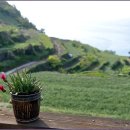 다랭이팜영농조합법인 | 남해 다랑이논 피자가 맛있는 다랭이팜 농부맛집 &amp; 펜션