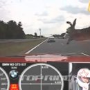 하늘토끼 이미지