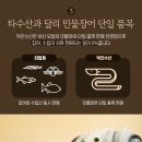 일등수산 이미지