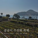 예구항 | 2025 공곶이 수선화 축제 (행사 일정 / 셔틀버스 / 주차장), 공곶이 수목원 현재 개화 상황