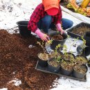 안녕농장 이미지