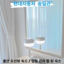 [울산 북구] 아무나 갈 수 없는 현대자동차 송일관 후기