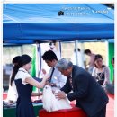 2011.9.25.FCI International Dog Show (메러디스) 이미지