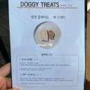 댕댕플레이트 이미지