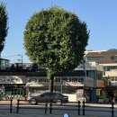 강산세차장 이미지