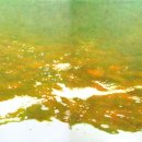 이화다방 이미지