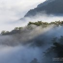 발 아래 구름이 자꾸만 발길을 붙드는 아침-단양 월악산 이미지