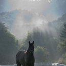 동자목장 이미지