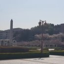 서농동게이트볼장 이미지