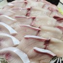 회광어9900 이미지