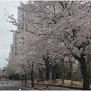 권선자이114공인중개사사무소 | 부동산학 전문가가 전하는 권선동권선자이 안심 부동산 서비스의 비밀