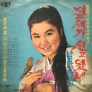 김세레나 입사기념 힛트앨범 NO.1 [짚세기 신고왔네] (1968) 이미지