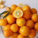 낑깡이랑 이미지