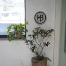 (충무로 필동) 헤베 커피 Hebe Coffee 1 st : 필동면옥과 코스로 좋은 원두가 좋은 로스팅 카페