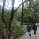 충우관 이미지