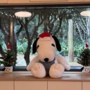 에이쉘인제주 이미지