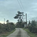 협재차경 별뉘 이미지