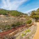 실내체육관 앞 횡단보도 이미지