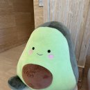 골프존마켓 광장점 | [오로라CC] 여름 같던 5월 골프, 장단점 솔직 리뷰