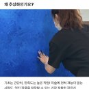 에스지큐갤러리 이미지