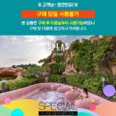 스플라스리솜 이미지