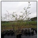 세윤농장 이미지