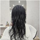 헤어,선하다