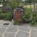 오고가고민박 이미지