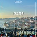 (주)모루 | 포르투 여행 도우강 근처 코스 추천 | 동루이스 다리 &amp; 모루공원 후기