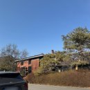 그루 | 이천 도자기 마을 나들이(광주요,너븐재,그루도자기)|너븐재, 그루도자기 구매 후기