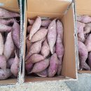 남들경로당 이미지