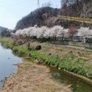 경안천로 이미지