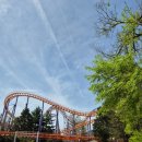 서울랜드 이벤트홀 | 평일 아이와함께 서울랜드 즐기기! :: 종일이용권 할인, 꿀팁, 준비물