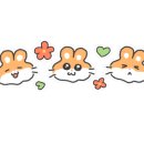 찐돈 - 제주시 연삼로 535 | 찐돈