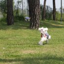 덕유산휴게소(하) 이미지