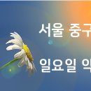 중구광희약국 티스토리