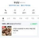 플로르현