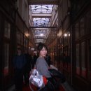 수 호스텔 | [교환학생 일상] 파리 호스텔에서 10박이요?!