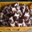 서암리농장 이미지