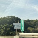 세종여자고등학교 | [2025 세종보헤미안 락페스티벌] 일요일 후기