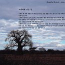 하늘마당-비상 이미지