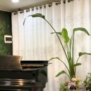 콘체르토음악학원 이미지