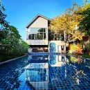 펫리무진택시-하리블랙 | 태국 7도시 9호텔들