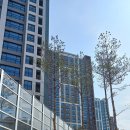 푸르지오파르세나공인중개사사무소 이미지