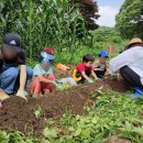 남한산초등학교 병설유치원 이미지