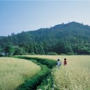 베리온리조트 이미지